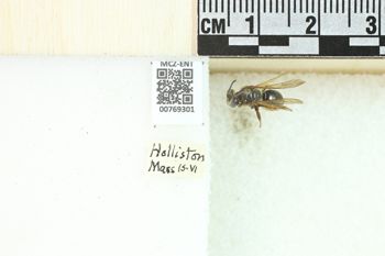 Media type: image;   Entomology 769301 Aspect: Labels
